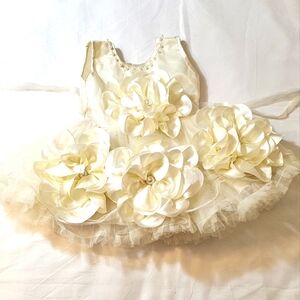 Baby girl flowers dress 6 to 9 Months